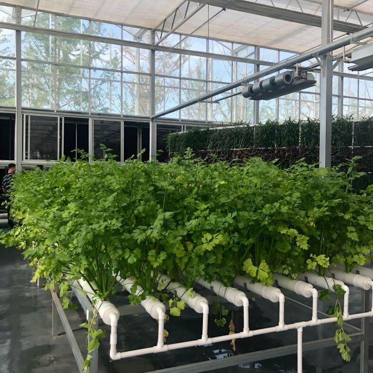 Planting Trough Soilless Culture