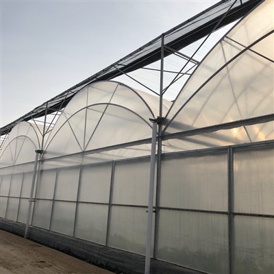 Commercial Hoop Greenhouse