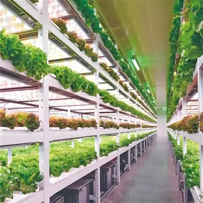 What are the differences between single - stage and multi - stage greenhouse water chillers?